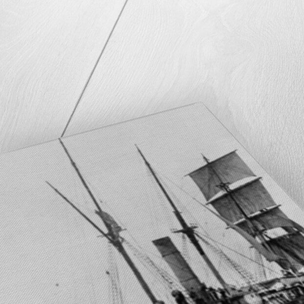 The Aurora crossing the Equator, August 1911 by Anonymous