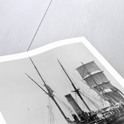 The Aurora crossing the Equator, August 1911 by Anonymous