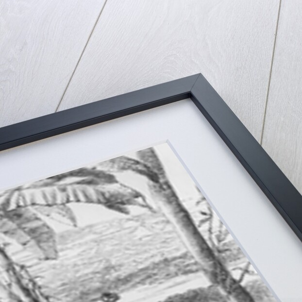 I saw with infinite pleasure the great object of my mission, - the long sought for majestic Niger, glittering to the morning sun, 1860 by Mungo Park (after)