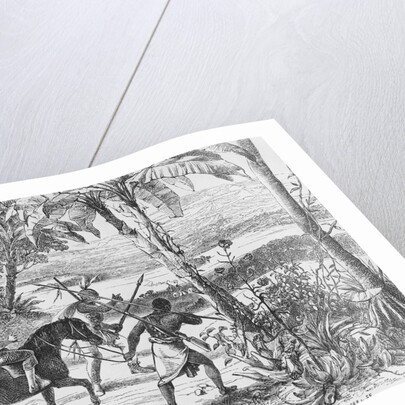 I saw with infinite pleasure the great object of my mission, - the long sought for majestic Niger, glittering to the morning sun, 1860 by Mungo Park (after)