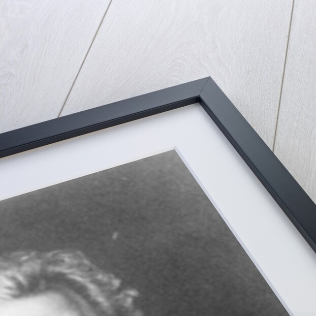 Johann Wolfgang Goethe by German School