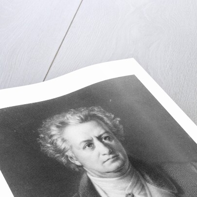Johann Wolfgang Goethe by German School