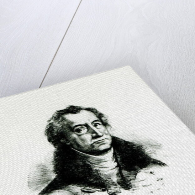 Johann Wolfgang Goethe engraved by Delacroix by (after) Villain