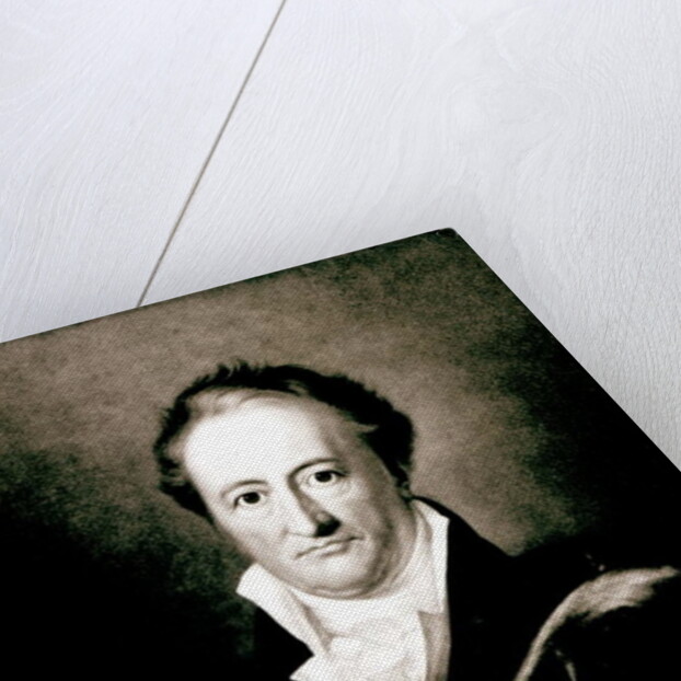 Johann Wolfgang Goethe by German School