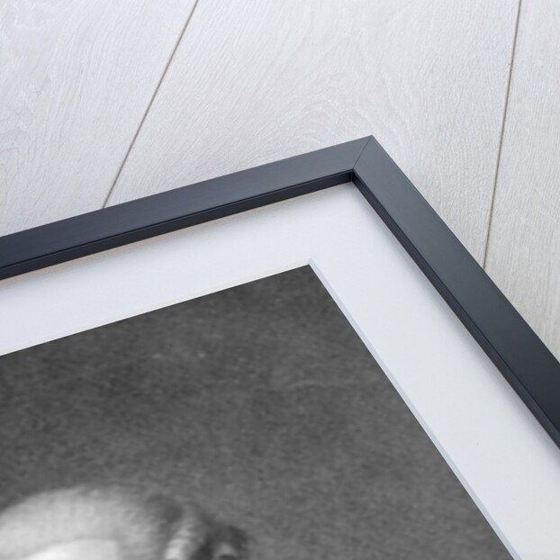 Joseph Haydn engraved by Schiavonnetti, 1792 by Ludwig Guttenbrunn