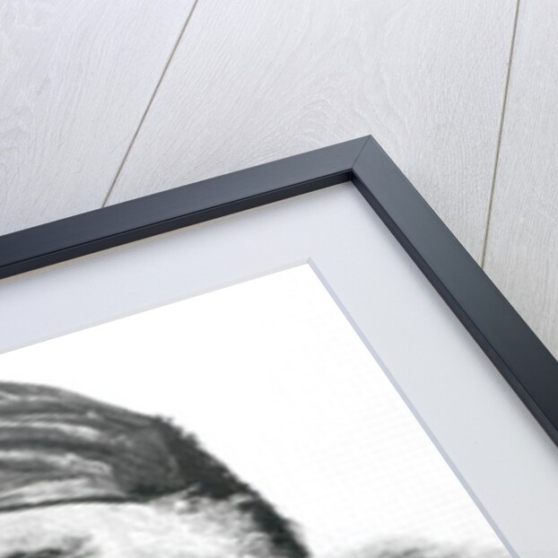 Portrait of Giuseppe Garibaldi by Italian School