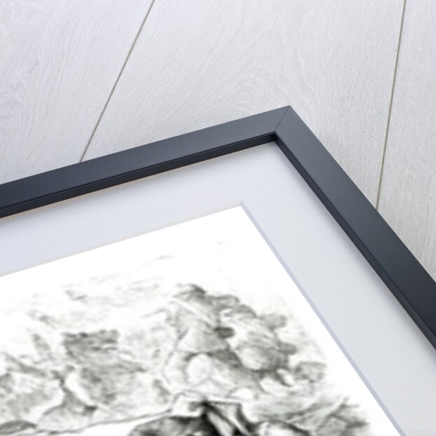 A French Lesson by English School