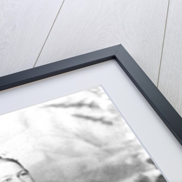 Elizabeth Ann Everest, Nanny to Winston Churchill by English Photographer