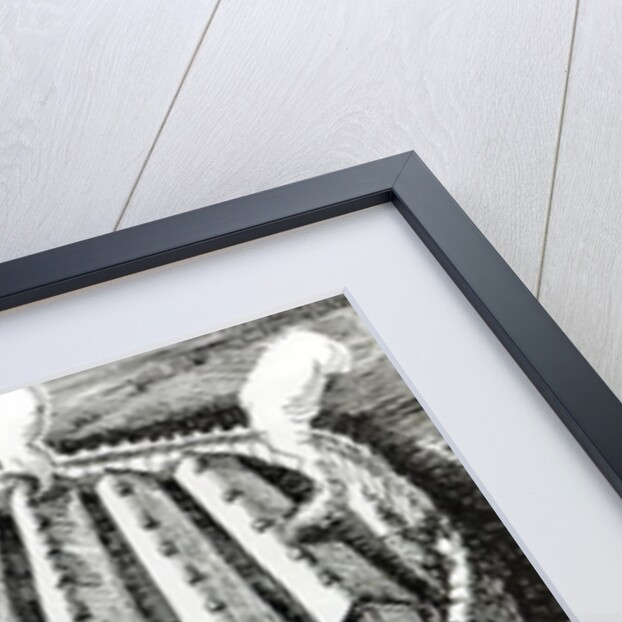 Reconstruction of an Iron Age village at Biskupin, Poland by English School