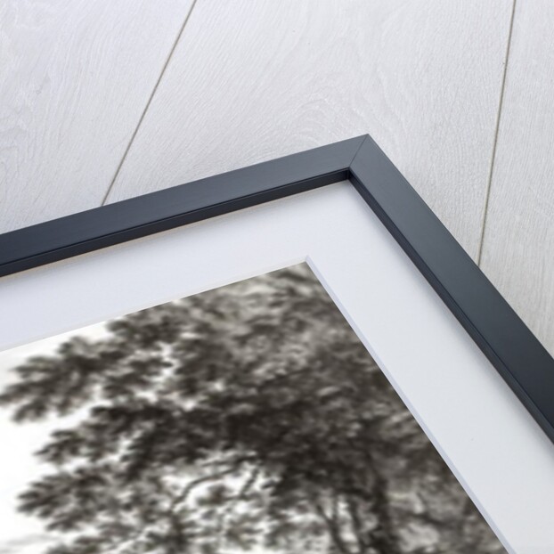 A View of Bethlem the Great Moravian Settlement in the province of Pennsylvania from 'Scenographia Americana', 1768 by Paul Sandby