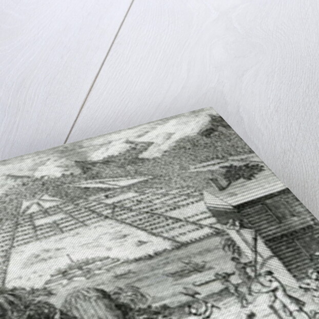 Illustration from 'The Reasons for establishing the Colony of Georgia' by Benjamin Martyn, 1733 by John Pine