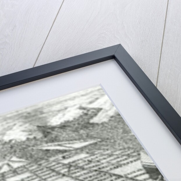 Illustration from 'The Reasons for establishing the Colony of Georgia' by Benjamin Martyn, 1733 by John Pine