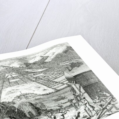 Illustration from 'The Reasons for establishing the Colony of Georgia' by Benjamin Martyn, 1733 by John Pine