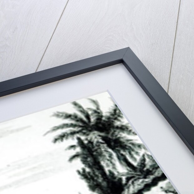 View of Rio de Janeiro from the church of St.Bento drawn by Fleury by French School