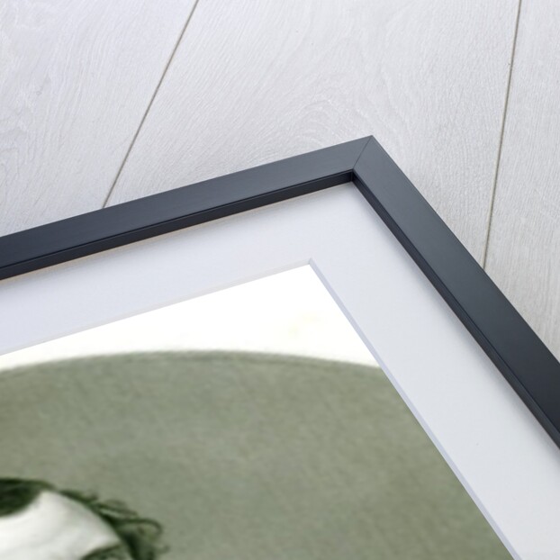 Edward Henry Smith Stanley, Lord Stanley by John Jabez Edwin Paisley Mayall