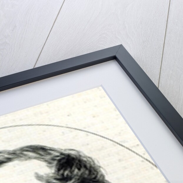 Lord Stanley after a photograph by (after) English School