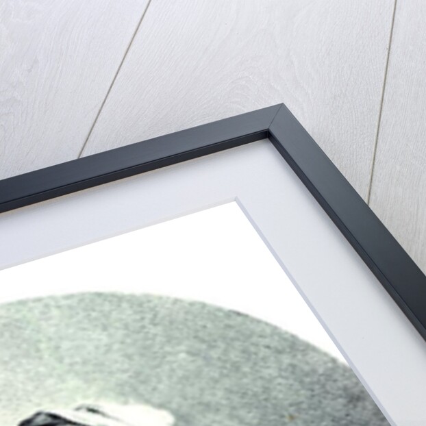 Sappho by Angelica Kauffman