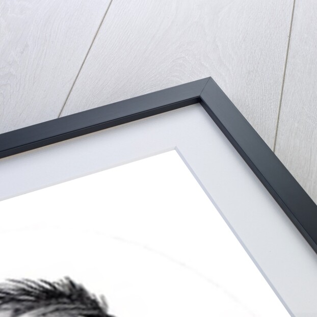 Portrait of Sappho by J.F. Cazenave