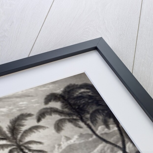 Port Louis from 'Views in the Mauritius' by T.Bradshaw by T. Bradshaw