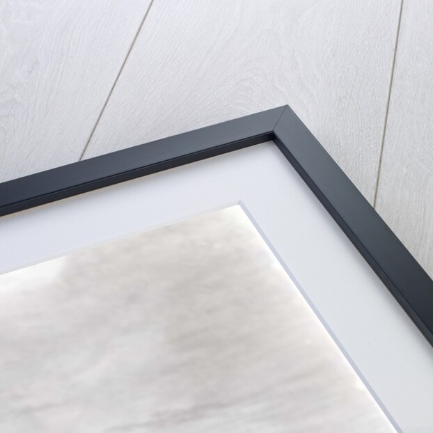 The Council House, Calcutta by Thomas Daniell