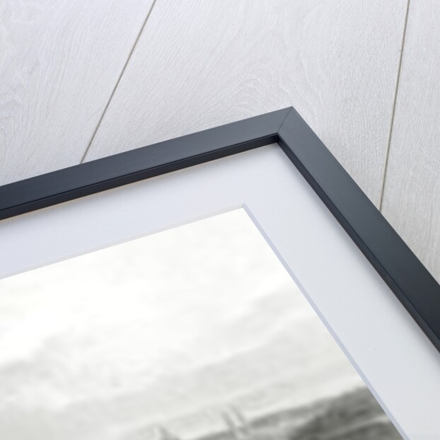 Lucknow by J (after) Ramage