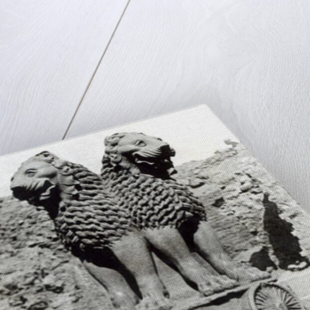 Lion capital from the Pillar of Emperor Ashoka, 273-236 BC by Indian school