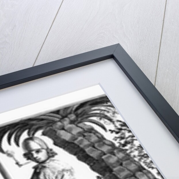 Buccaneer in the West Indies, 1686 by French School