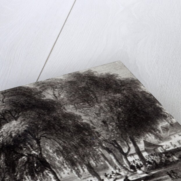 Fish Market, Paramribo by Pierre J. (after) Benoit