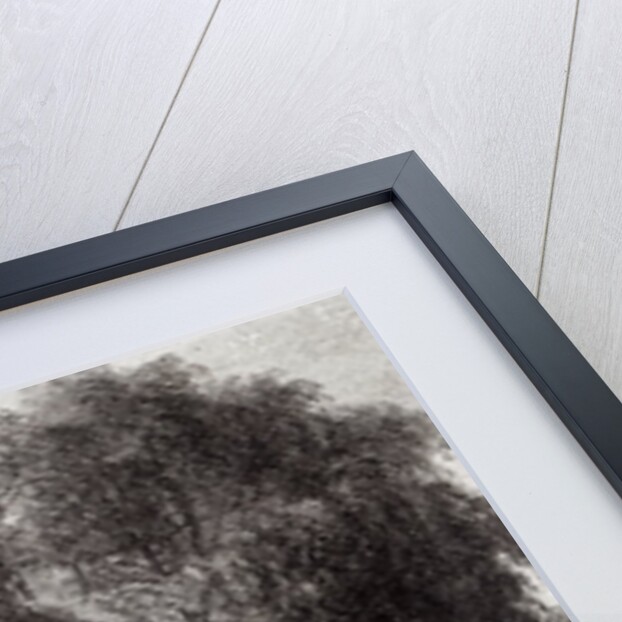 Fish Market, Paramribo by Pierre J. (after) Benoit