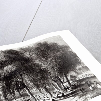 Fish Market, Paramribo by Pierre J. (after) Benoit