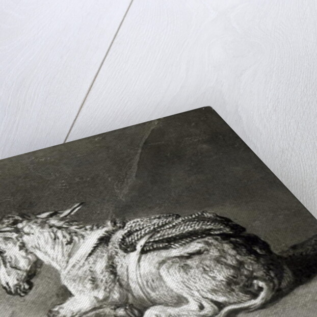 Donkey at Rest by James Ward