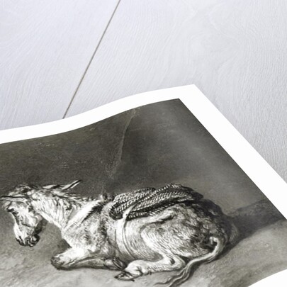 Donkey at Rest by James Ward