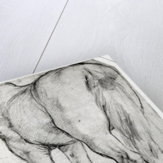 Horse's Rear by Peter Paul Rubens