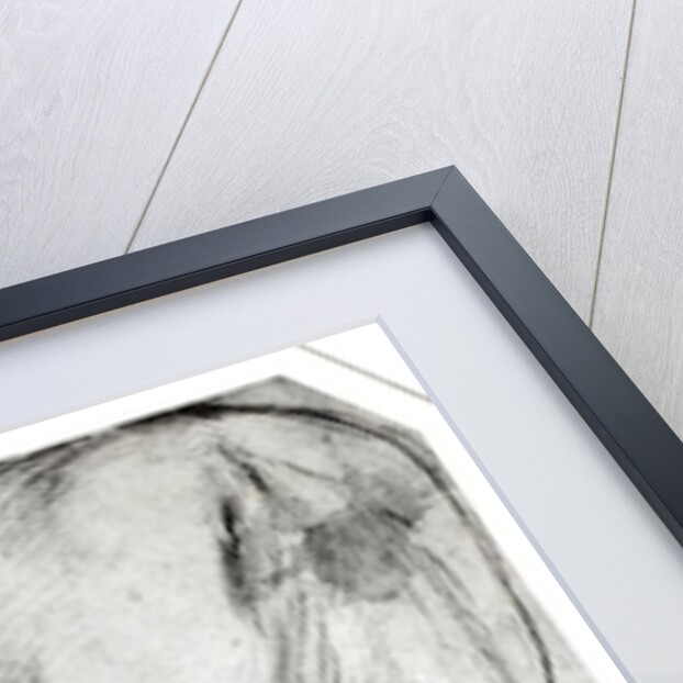 Horse's Rear by Peter Paul Rubens