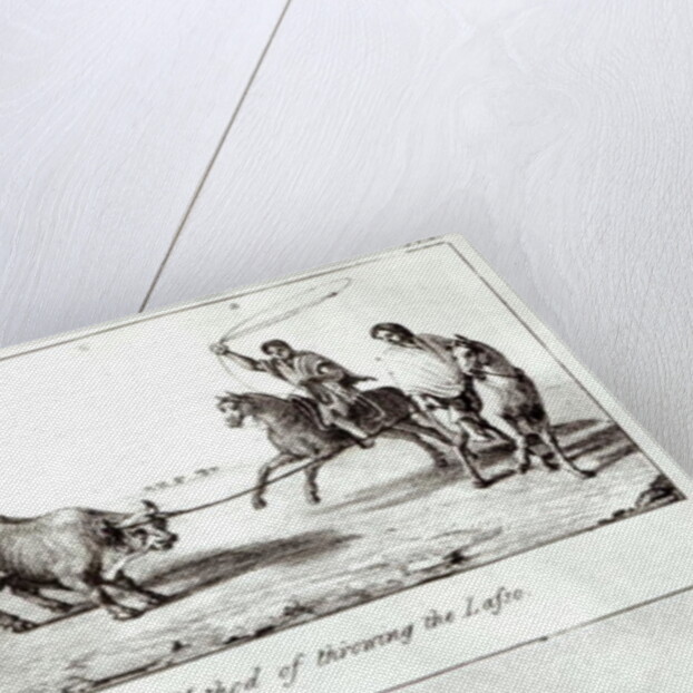 Methods of Throwing the Lasso and the Bolas by John Miers