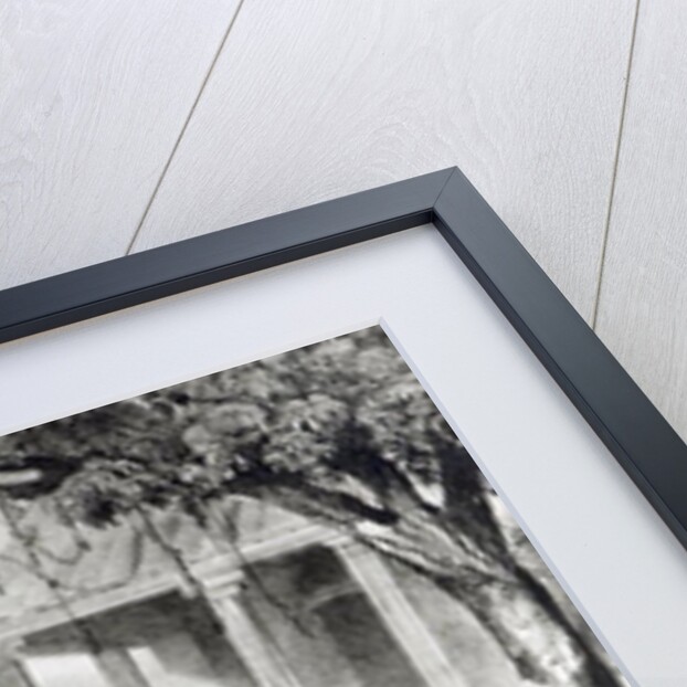 Landu Dance by Johann Moritz Rugendas