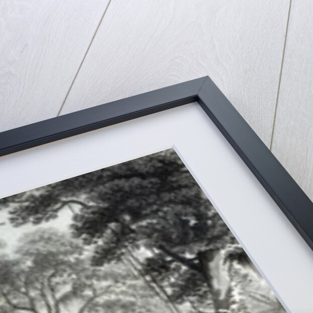 Scene in a Brazilian Forest engraved by J.Bishop by Henry George Hine