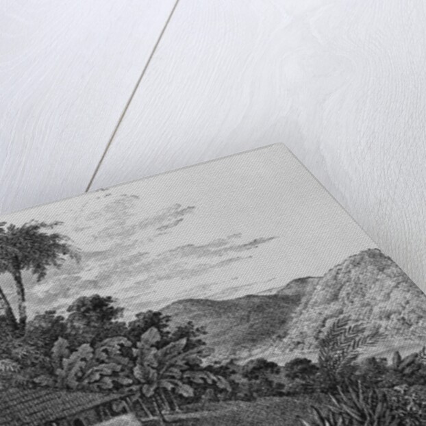 A Planter's House in Brazil by English School