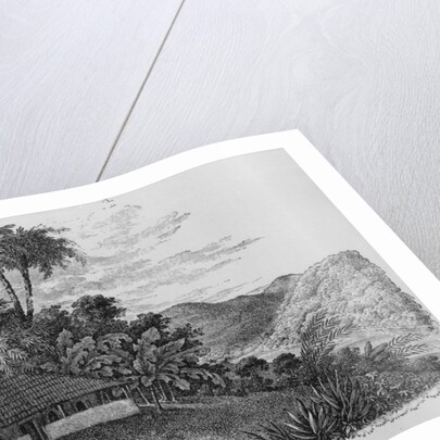 A Planter's House in Brazil by English School