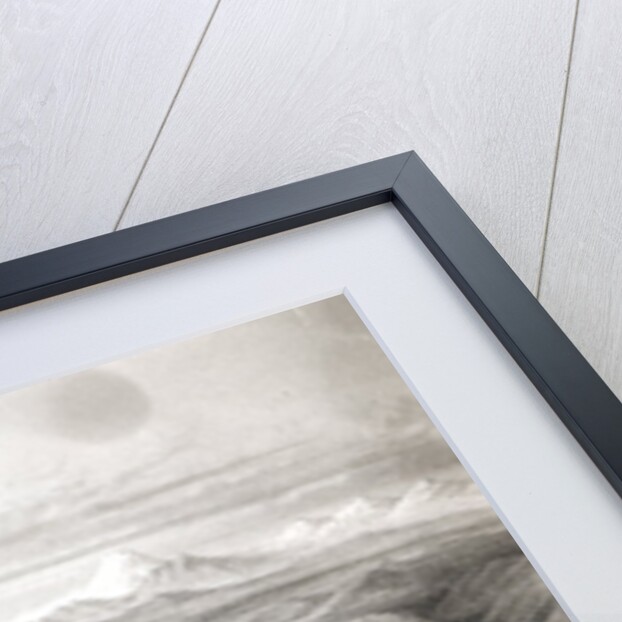 Distant View of the Aconcagua Volcano by Claudio Gay