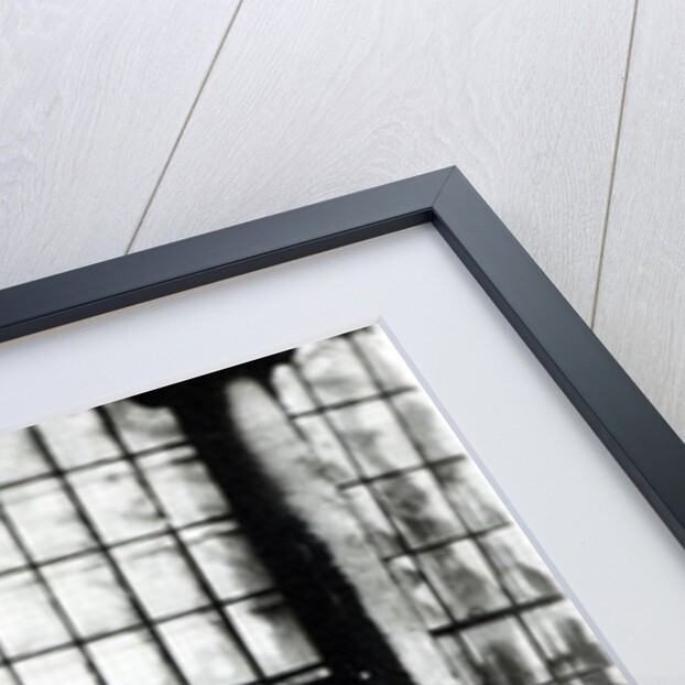 Queen Victoria and Prince Albert with their Children by Roger Fenton