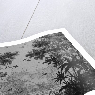 Bird Hunting by French School