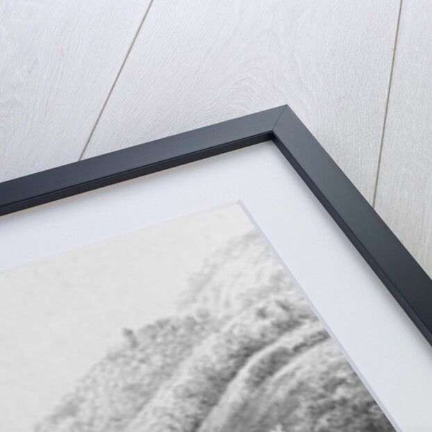 Coffee Plantation by French School