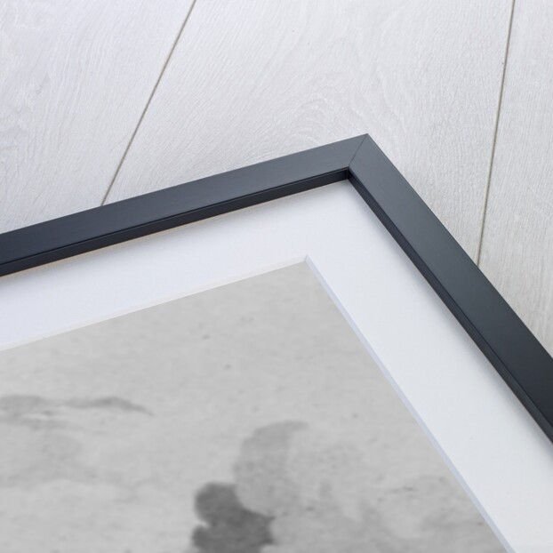 Ancient Fort on the Rio-Grande by French School