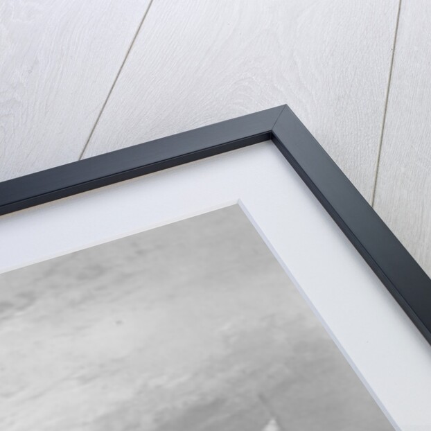 The Narrows from Fort Hamilton by William Henry Bartlett