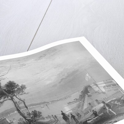 The Narrows from Fort Hamilton by William Henry Bartlett