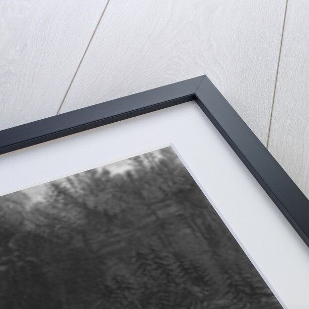 Trenton High Falls, 1838 by William Henry (after) Bartlett