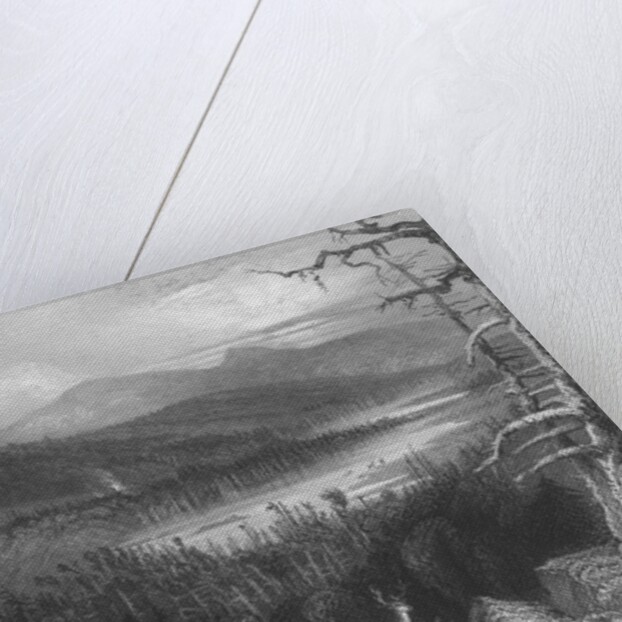 The Two Lakes and the Mountain House on the Catskills, 1838 by William Henry Bartlett