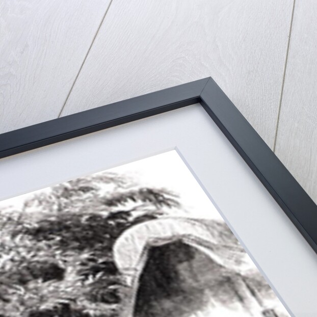 Carrying off the Wounded after the battle of Antietam in 1862 by Alfred Rudolph (after) Waud