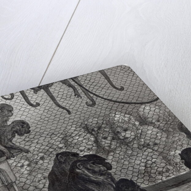 London Monkeys by Gustave Dore